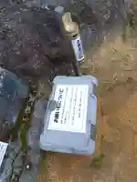 琵琶湖龍神(滋賀県)