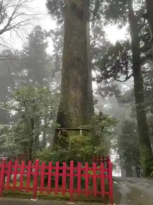 箱根神社(神奈川県)
