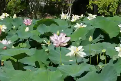 東行庵(山口県)