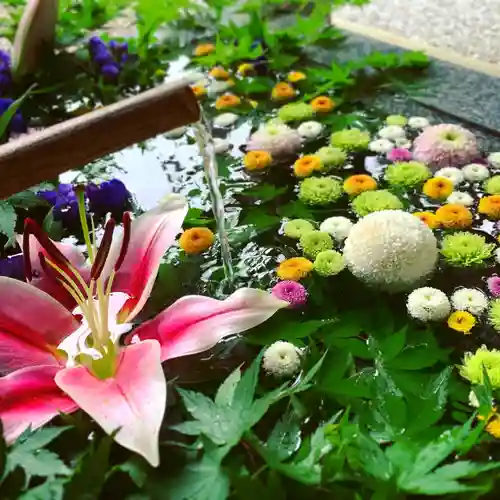 滑川神社 - 仕事と子どもの守り神の手水