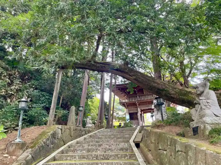 寳光寺 鹿野大佛(東京都)
