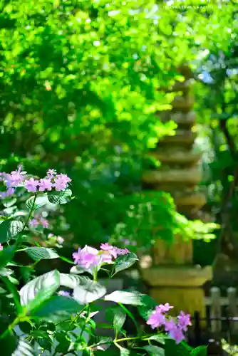 高幡不動尊　金剛寺(東京都)