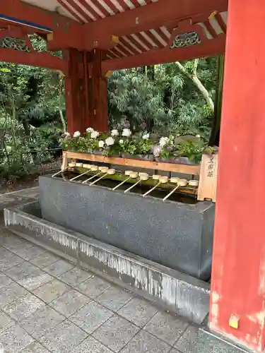武蔵一宮氷川神社(埼玉県)