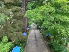 大善寺の庭園