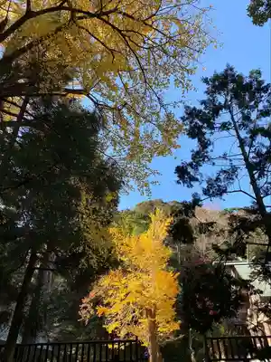 安房神社(千葉県)