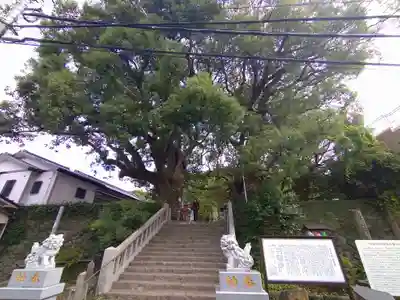 山王神社(長崎県)