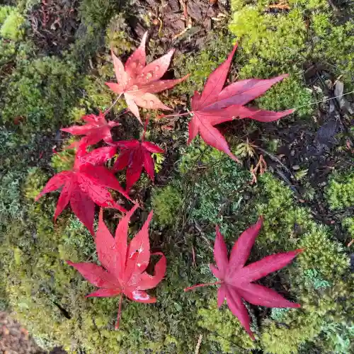 西明寺(滋賀県)