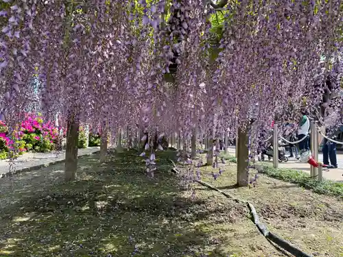 地福寺(徳島県)