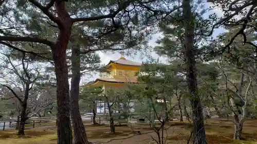 鹿苑寺（金閣寺）の庭園