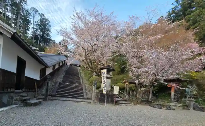 丹生大師 神宮寺の{uncategorized: "未分類", other: "その他", undefined: "問題あり", building: "その他建物", grave: "お墓", sacred_gate: "鳥居", guardian: "狛犬", statue: "像", buddha: "仏像", history: "歴史", nature: "自然", garden: "庭園", animal: "動物", pagoda: "塔", temizu: "手水舎", mountain_gate: "山門・神門", sanctuary: "本殿・本堂", subordinate: "末社・摂社", art: "芸術", scenery: "景色", jizo: "地蔵", ema: "絵馬", goshuin: "御朱印", omikuji: "おみくじ", items: "授与品その他", amulet: "お守り", goshuincho: "御朱印帳", eats: "食事", festival: "お祭り", votive_dance: "神楽", shichigosan: "七五三参", wedding: "結婚式", experience: "体験その他", initially: "初詣", around: "周辺", anti_infection: "感染症対策"}