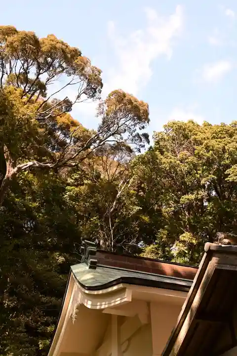 八桙神社(徳島県)