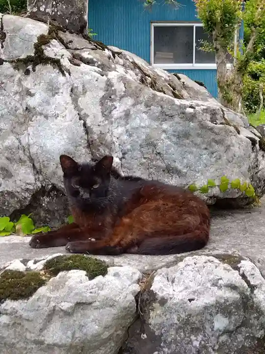 円通寺(埼玉県)