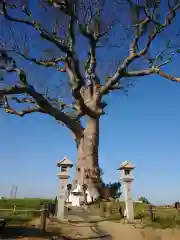 大木神社(三重県)