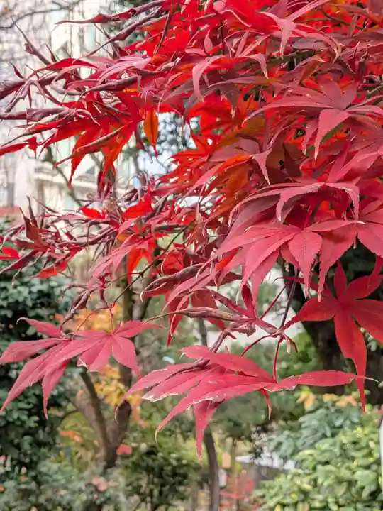 乃木神社(東京都)