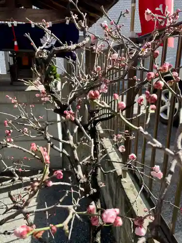 善國寺(東京都)