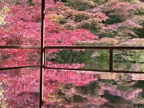 光明寺瑠璃光院の庭園