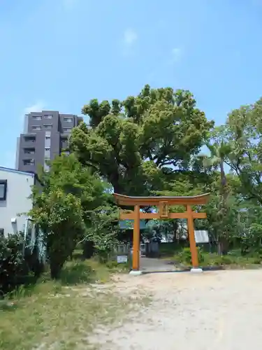 浅井神社の鳥居