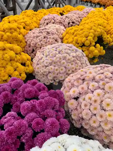 笠間稲荷神社の自然