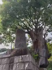 五宮神社(兵庫県)