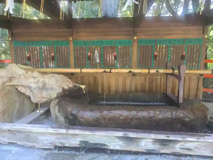 賀茂御祖神社(下鴨神社)(京都府)