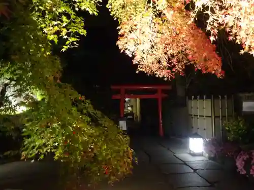 長谷寺の自然