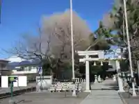 浅間神社(静岡県)