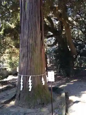 間々田八幡宮(栃木県)