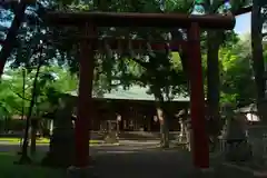 男神社の鳥居