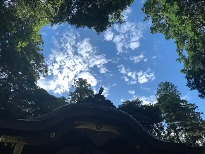 麻賀多神社(千葉県)