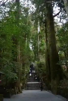箱根神社(神奈川県)