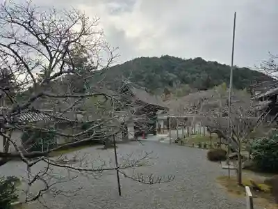 毘沙門堂門跡(京都府)