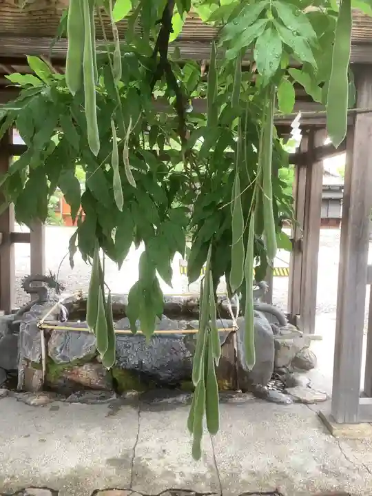 田縣神社の自然