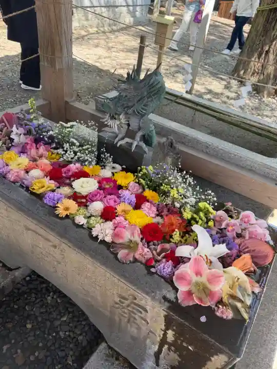 玉前神社の{uncategorized: "未分類", other: "その他", undefined: "問題あり", building: "その他建物", grave: "お墓", sacred_gate: "鳥居", guardian: "狛犬", statue: "像", buddha: "仏像", history: "歴史", nature: "自然", garden: "庭園", animal: "動物", pagoda: "塔", temizu: "手水舎", mountain_gate: "山門・神門", sanctuary: "本殿・本堂", subordinate: "末社・摂社", art: "芸術", scenery: "景色", jizo: "地蔵", ema: "絵馬", goshuin: "御朱印", omikuji: "おみくじ", items: "授与品その他", amulet: "お守り", goshuincho: "御朱印帳", eats: "食事", festival: "お祭り", votive_dance: "神楽", shichigosan: "七五三参", wedding: "結婚式", experience: "体験その他", initially: "初詣", around: "周辺", anti_infection: "感染症対策"}