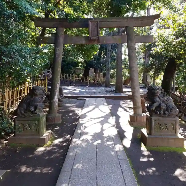 渋谷氷川神社の鳥居