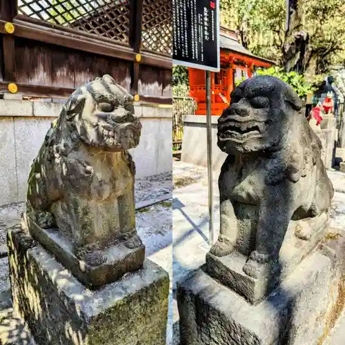 熊野神社の狛犬