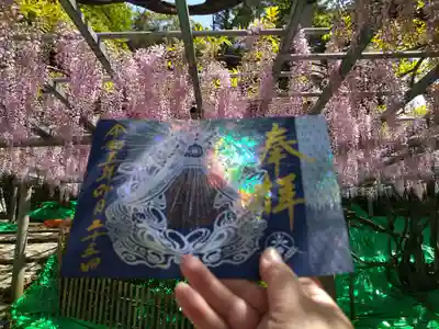 
箔押し部分はレインボーカラーに光ります✨🌈✨

景色と一緒に撮ると、箔押しのレインボー部分がキレイに出ない事も…









