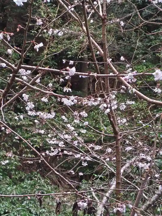 多度大社(三重県)