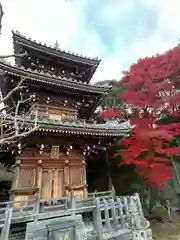 勝行院(法海寺)の塔