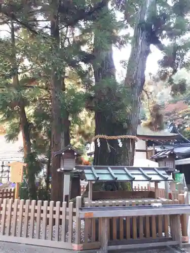 大神神社(奈良県)