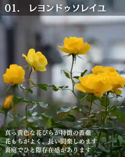 宝光寺(北海道)