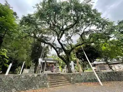 川俣神社(三重県)