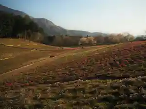 【公式】龍門院常楽寺(秩父札所十一番)(埼玉県)(2024年11月21日(木) 09時15分54秒投稿)