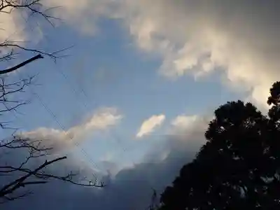一本杉神社(島根県)