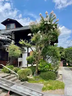 善導寺(福島県)