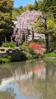 法金剛院(京都府)
