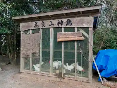 高良大社(福岡県)