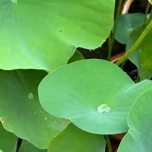 伊勢の国 四天王寺(三重県)