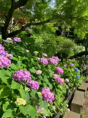 本土寺(千葉県)