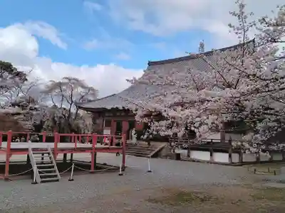 醍醐寺(京都府)