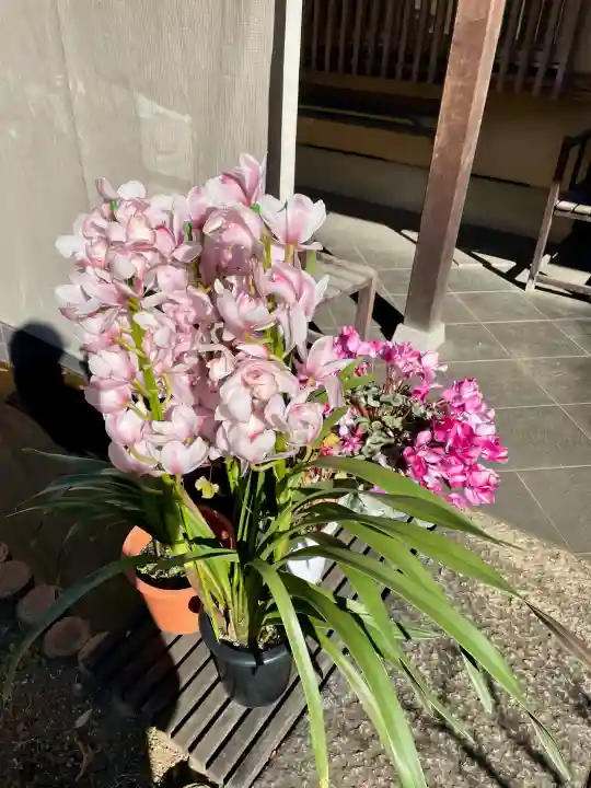 本納寺の{uncategorized: "未分類", other: "その他", undefined: "問題あり", building: "その他建物", grave: "お墓", sacred_gate: "鳥居", guardian: "狛犬", statue: "像", buddha: "仏像", history: "歴史", nature: "自然", garden: "庭園", animal: "動物", pagoda: "塔", temizu: "手水舎", mountain_gate: "山門・神門", sanctuary: "本殿・本堂", subordinate: "末社・摂社", art: "芸術", scenery: "景色", jizo: "地蔵", ema: "絵馬", goshuin: "御朱印", omikuji: "おみくじ", items: "授与品その他", amulet: "お守り", goshuincho: "御朱印帳", eats: "食事", festival: "お祭り", votive_dance: "神楽", shichigosan: "七五三参", wedding: "結婚式", experience: "体験その他", initially: "初詣", around: "周辺", anti_infection: "感染症対策"}